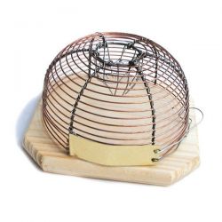 Pièges à souris - La Droguerie écologique