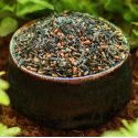 Bio Japanischer Genmaicha Grüner Tee & Reis - 100g - Aromandise