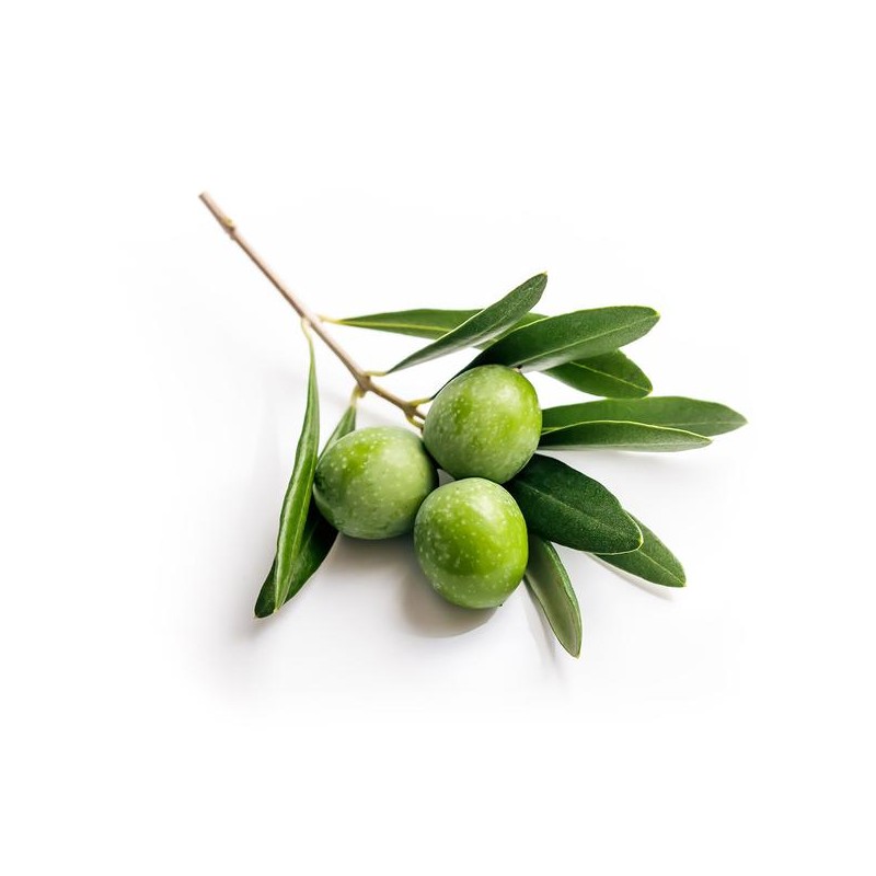 Olivie Plus 30X, angereichertes Olivenöl - Anti-Oxidationsmittel, Cholesterin und entzündungshemmend - 250ml - Olivie