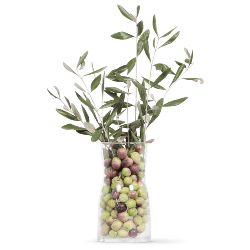 OLIVIE PowerUp, Les perles miraculeuses d'oliviers du désert, riche en anti-oxydants et resveratrol - 340g - Olivie