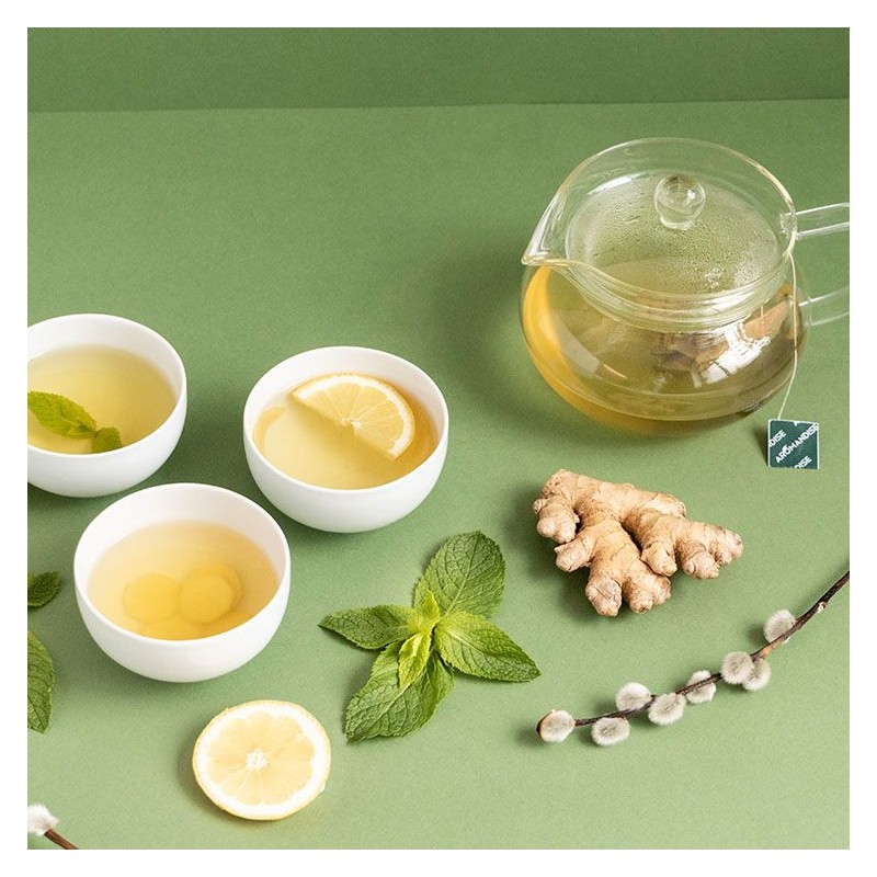 UJI Sencha Green Tea Teabags - 18 bustine - Aromandise