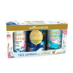 Coffret thés japonais BIO de Noël