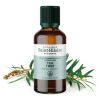 Olio essenziale (Biologico) di Tea Tree - 50ml - De Saint Hilaire