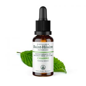 Madre-macerato biologico (glicerina) di gemme di Carpino- 30ml - Saint-Hilaire