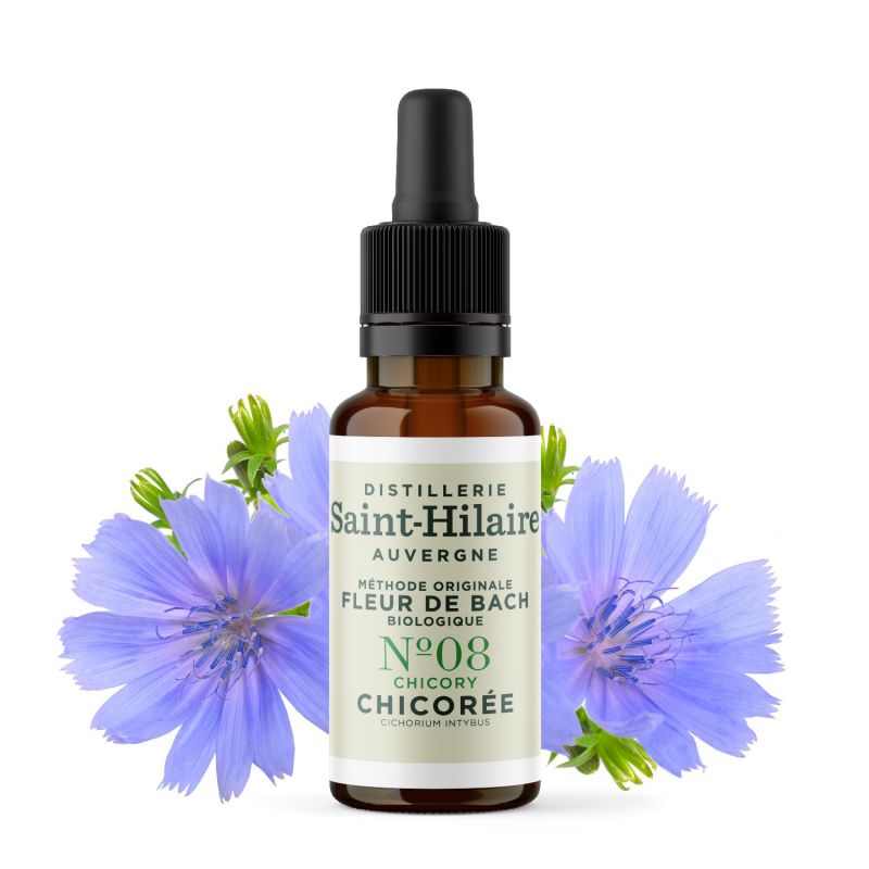 Fiori di Bach BIO "Metodo originale", N° 8, Cicoria, Chicory (Cichorium intybus) - 20ml - Saint-Hilaire