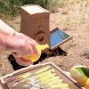 OMY - Revolutionärer Solar-Lebensmitteltrockner - Version mit 3 Schalen - Solar Brother