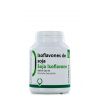 Isoflavones de soja - 120 gélules (25 mg) - BIOnaturis