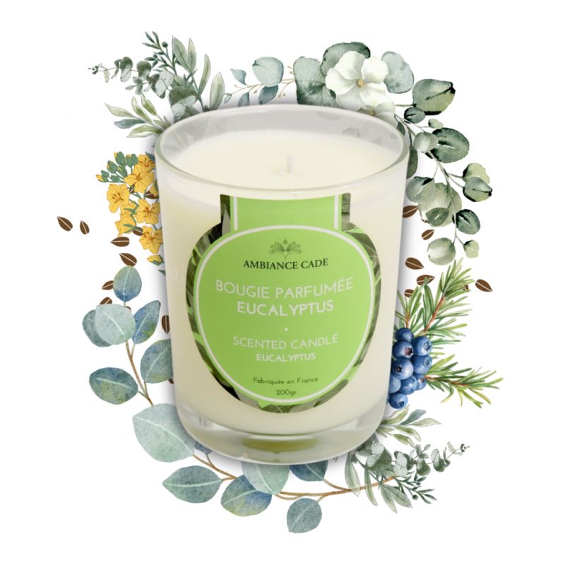 Bougie végétale à l'huile de cade, parfum Eucalyptus - 400g, env. 45h - Ambiance Cade