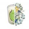 Candela ad olio Cade, profumo di Eucalipto - 400g, circa 45h - Ambiance Cade