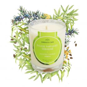 Cade Öl-Kerze, Duft Verveine - 400g, ca. 45h - Ambiance Cade