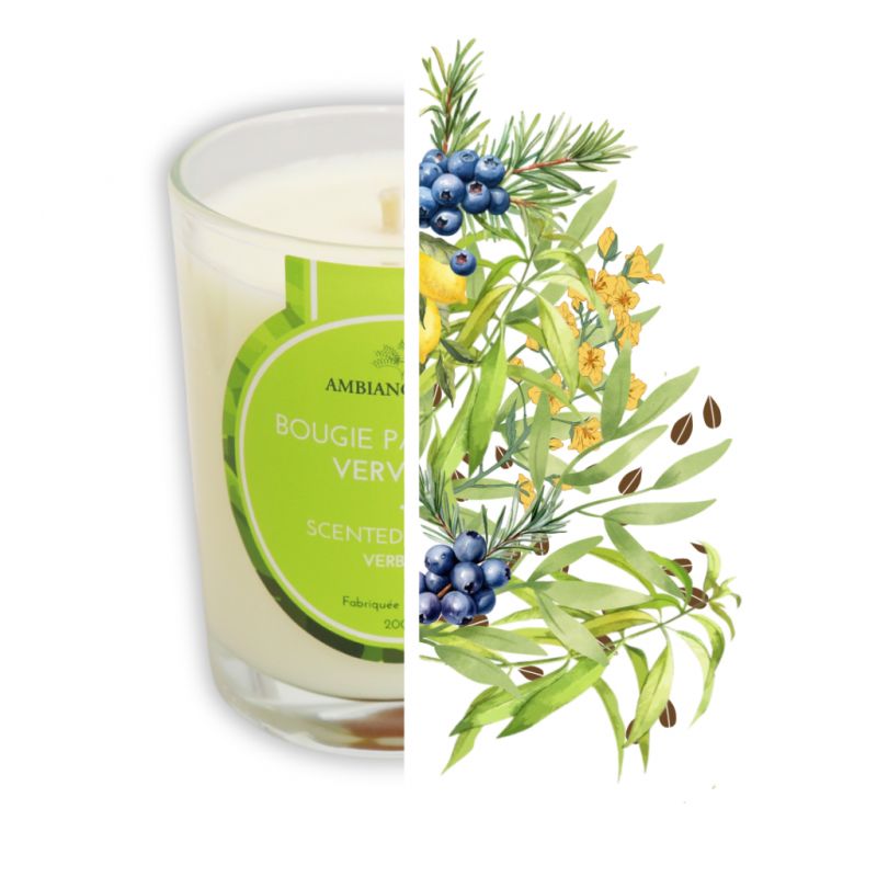 Bougie végétale à l'huile de cade, parfum Verveine - 400g, env. 45h - Ambiance Cade