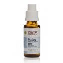 Mashav - Décongestion voies respiratoires - Les Herbes de Kedem - Spray 20ml