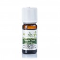 Zimtrinde ätherisches Öl - 5ml - De Saint Hilaire