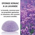Éponge 100% naturelle en Konjac, à la lavande - Sun & Sia