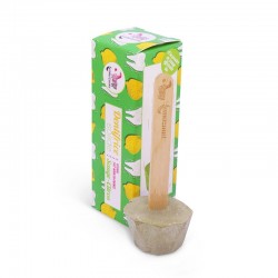 Dentifrice solide sauge-citron