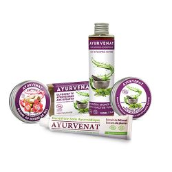 Dentifrice ayurvédique à l'extrait de plante de Miswak biologique - 75ml - Ayurvenat
