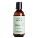 Samsonit - Shampoo anticaduta per capelli devitalizzati - 250ml - Herbs of Kedem